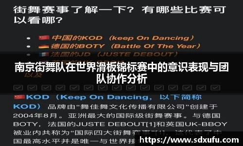 南京街舞队在世界滑板锦标赛中的意识表现与团队协作分析